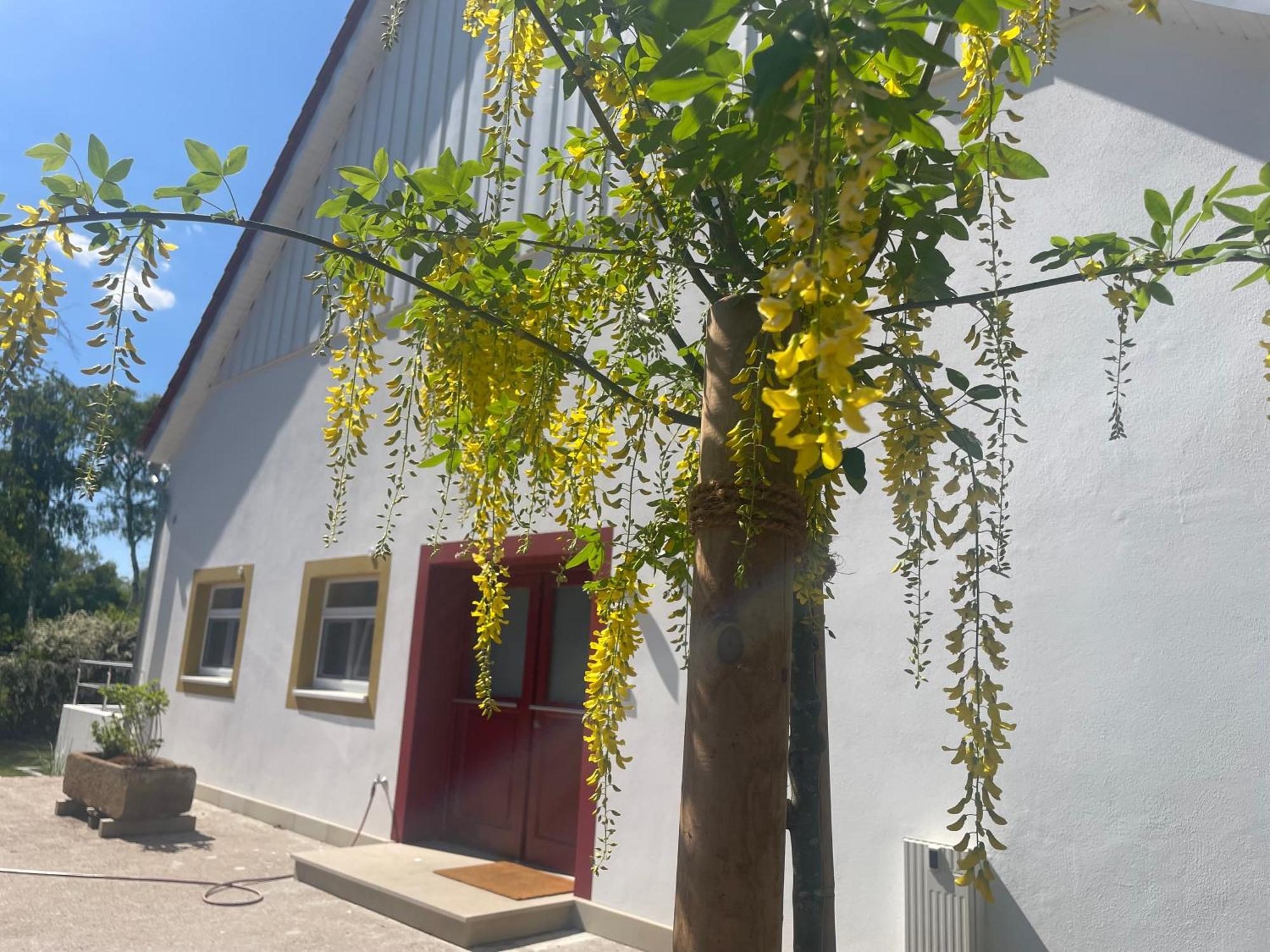 Appartement Mit 2 Schlafzimmern Und Terrasse Halle  Екстер'єр фото